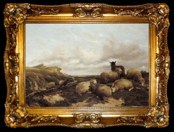 framed  unknow artist Sheep 159, ta009-2